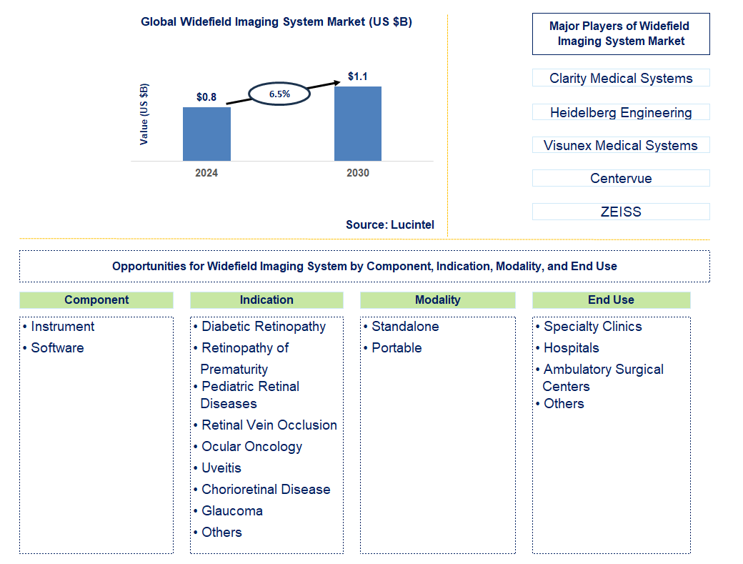 Widefield Imaging System Trends and Forecast